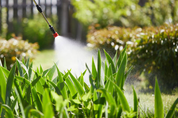 Tamper-Resistant Bait Stations for Rodents in University Gardens