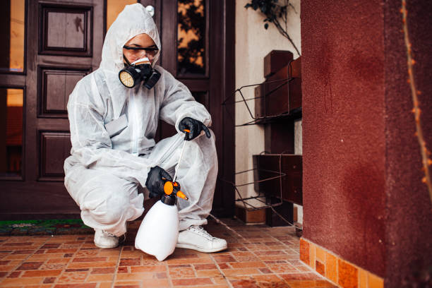 Attic and Crawl Space Rodent Treatment in University Gardens