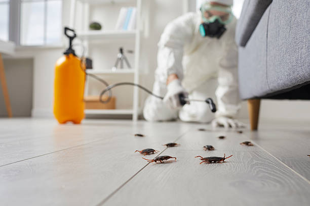 Commercial Rodent Management in University Gardens